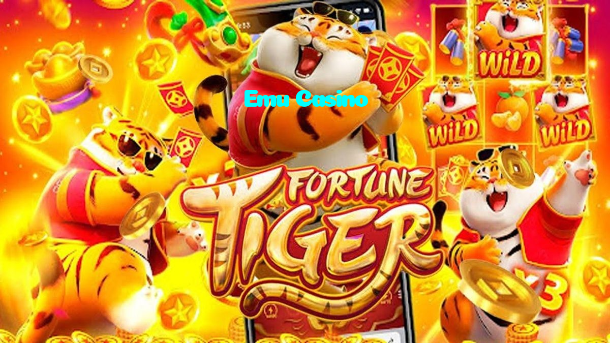 making first deposit on Emu Casino website using local payment methods in Pakistan