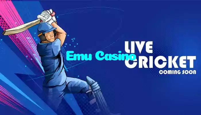 available types of Emu Casino bet including pre-match live express and system bets
